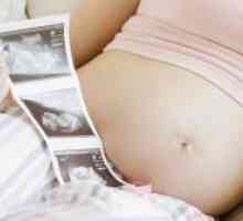 13 Седмици от бременността - фетален размер