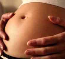 15 Седмица от бременността - усещане в стомаха