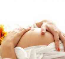 18 Седмици от бременността - фетален размер