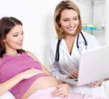 19 Седмица от бременността - не пертурбации