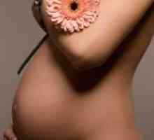 21 Седмица на бременността - какво се случва?