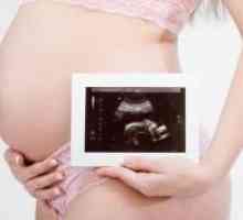 22 Седмици от бременността - фетален размер