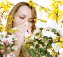 Алергия на цъфтежа