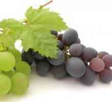 Алергия към грозде