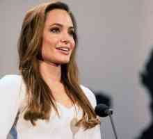 Анджелина Джоли ще преподава в Лондонското училище по икономика
