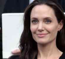 Анджелина Джоли се продава къща във Франция, за да преследва политическа кариера в Лондон