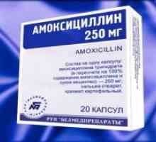 Антибиотик амоксицилин