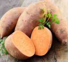Сладките картофи - ползите и вреди