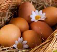 Яйчен белтък - калории