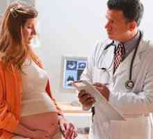 Белтъкът в урината по време на бременност - какво да правя?