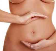 Бременност 15 седмици - Развитие на ембриона