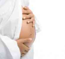 Бременност когато коремът започва да расте?