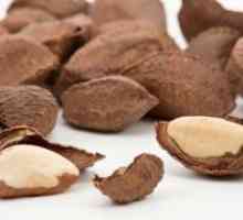 Бразилски орехи - полезни свойства