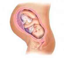Цервикалния канал по време на бременност