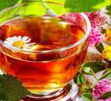 Чай, направен от детелина - ползи и вреди