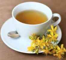 Жълт кантарион чай - ползи и вреди