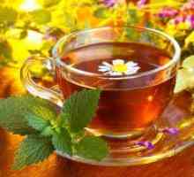Чай "Маргаритка" - ползи и вреди