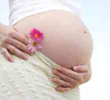 Как да се лекува гнойна инфекция по време на бременност?