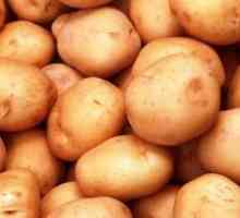 Процесът преди засаждане на картофи?