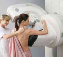 Кое е по-добре - ултразвуково изследване или мамография?