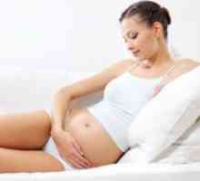 Какво да не правим ранна бременност?