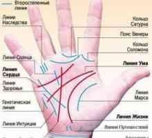Какво прави един родилен белег на ръцете си?