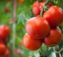 Какво е определими сортове домати?