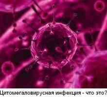Цитомегаловирус (CMV) - какво е това?