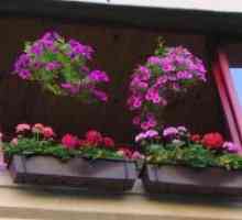 Цветя на балкона