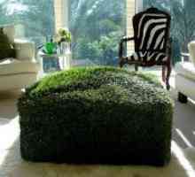 Декоративни изкуствена трева за интериора
