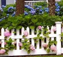 Декоративна пластмаса ограда