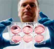 Продължителен култивиране на ембриони ин витро