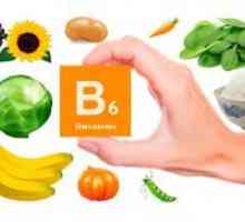 Защо е необходимо за организма да се витамин В6?