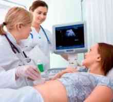 Ултразвуков доплер по време на бременност - правилата