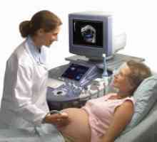 Doplerometrii за бременни жени - фигури, скоростта на