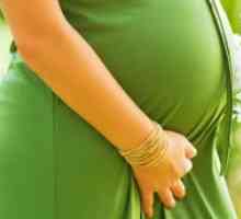 Фолио за бременни жени