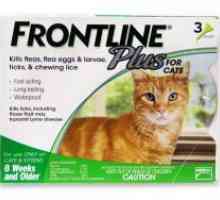 Frontline за котки