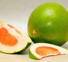 Помело плодове: полезни свойства, калории, полза и вреда