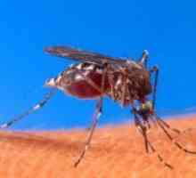 Ухапвания гел комари