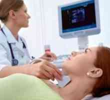 Хормоните на щитовидната жлеза по време на бременност