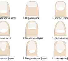 Естеството на формата на ноктите