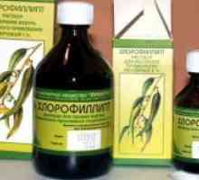 Chlorophyllipt за кърмачета