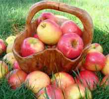 Съхранение на ябълки в дома