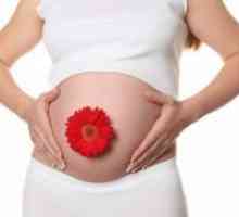 Имуноглобулин по време на бременност