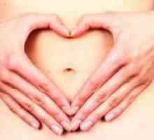 Имплантирането на ембриона - сензация
