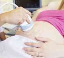 Маточната шийка некомпетентност по време на бременност