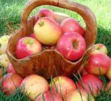 Ябълки - ползи и вреди