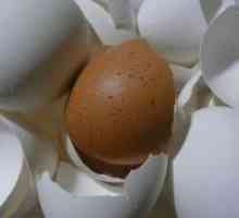 Яйца съгласно тор