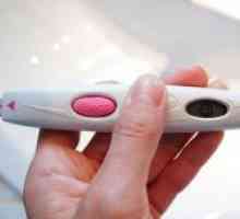 Електронен тест за бременност