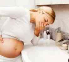 Enterosgel по време на бременност